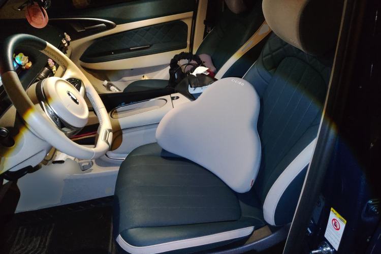 Used ORA Good Cat 2023 401 km Standard Range Premium Version Lithium Iron Phosphate Left Front Seat