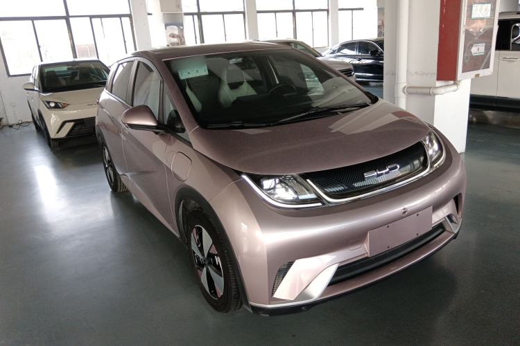 Used BYD Dolphin 2023 420 km Free Version
