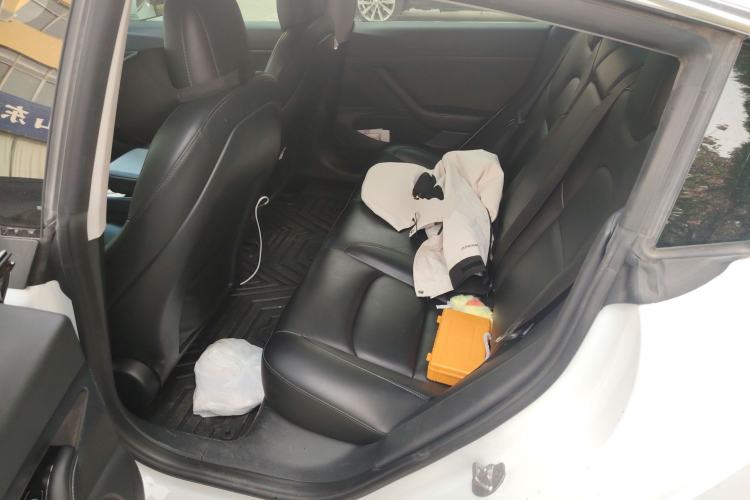 Used Tesla Model 3 2020 Standard Range Rear-Wheel Drive Upgraded Version Left Rear Seat