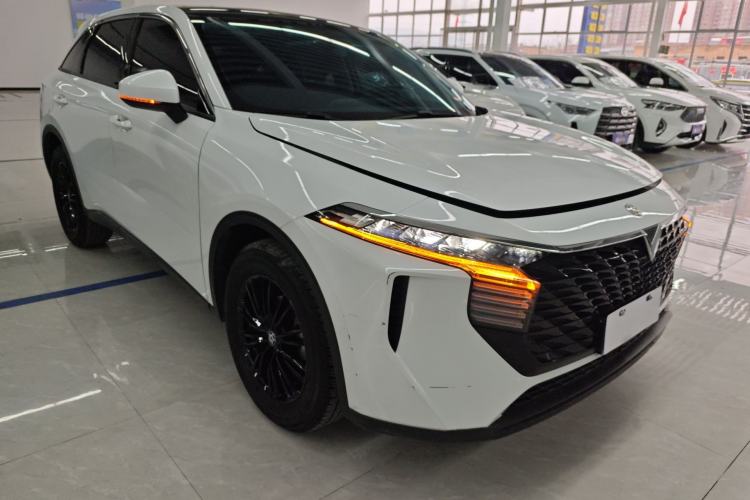 Used Venucia V 2021 260T Idol Edition
