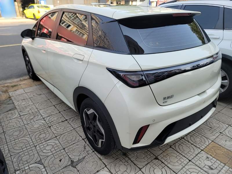 Used BYD Dolphin 2021 405 km Fashion Edition — 4