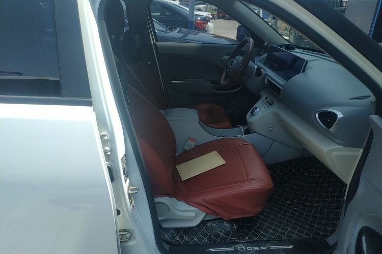 Used ORA White Cat 2020 305 km Luxury Version