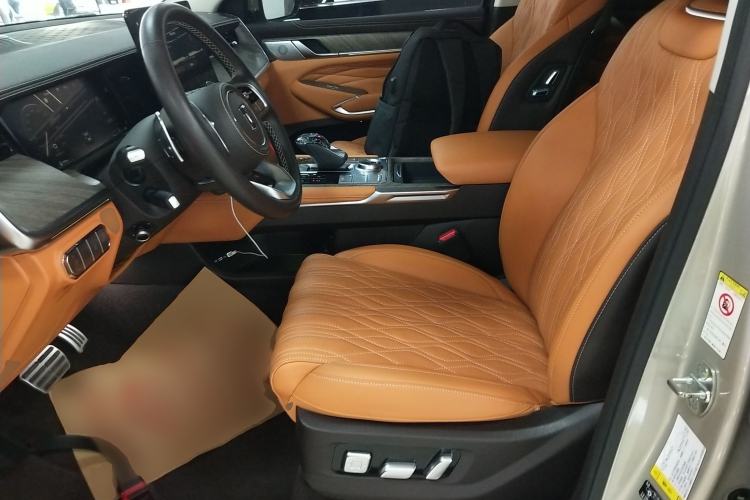 Used Tank 500 2022 3.0T Business Edition "Creation Realm" Design 5-Seater
