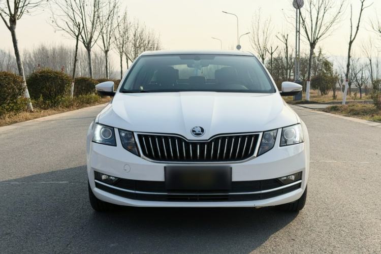 Used Skoda Octavia 2019 TSI230 DSG SmartDrive Luxury Edition China V Standard