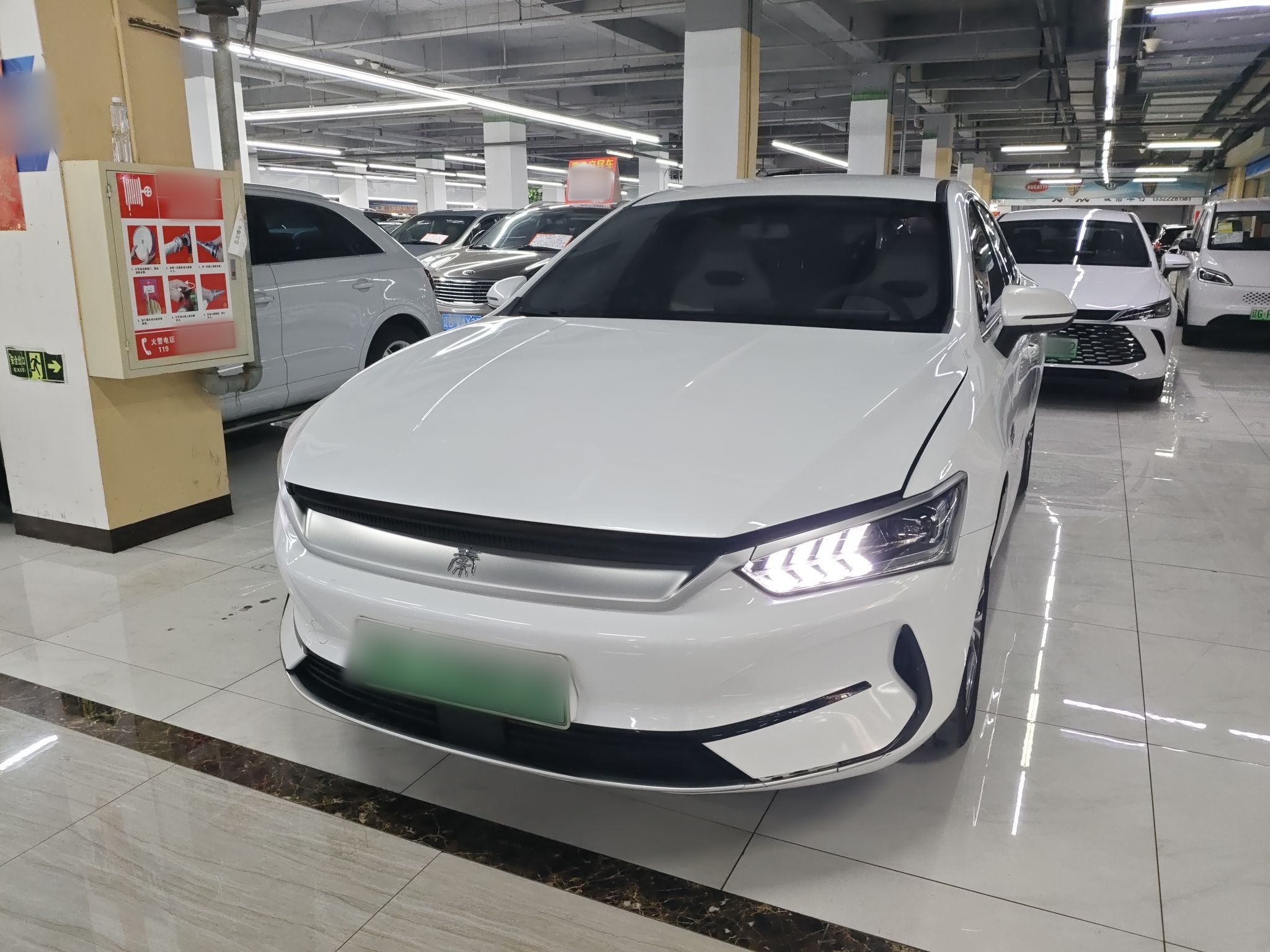 تحت مقدمة السيارة