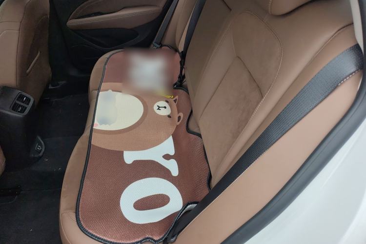 Used Buick Regal 2019 Revised 20T Luxury Version China VI Standard Left Rear Seat