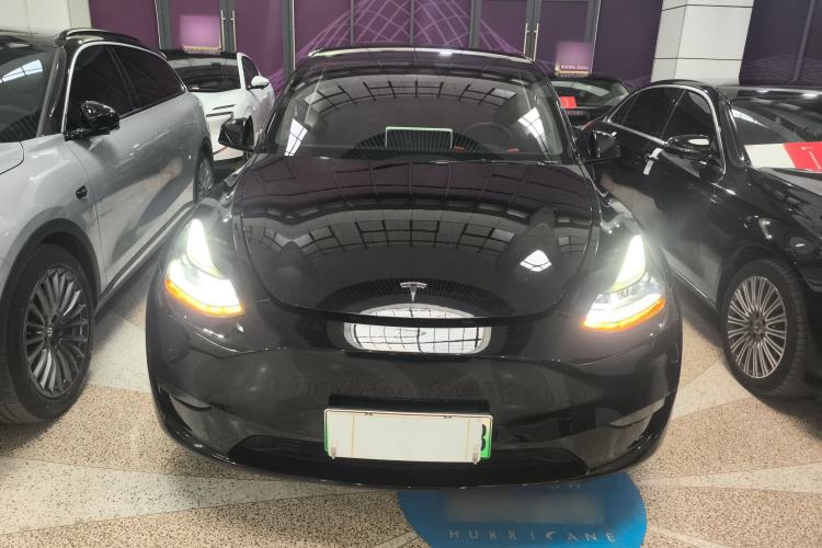 Used Tesla Model Y 2021 Standard Range Rear-Wheel Drive Version
