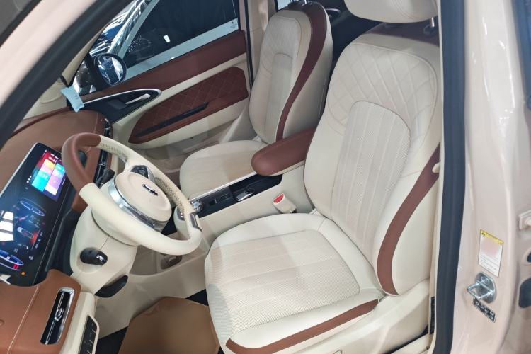 Used ORA Good Cat 2022 Morandi Edition 400km Standard Range Premium Version Lithium-Ion Battery
