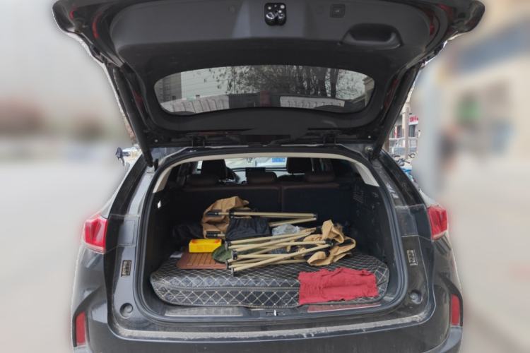 Used Wey P8 2018 2.0T Flagship Model