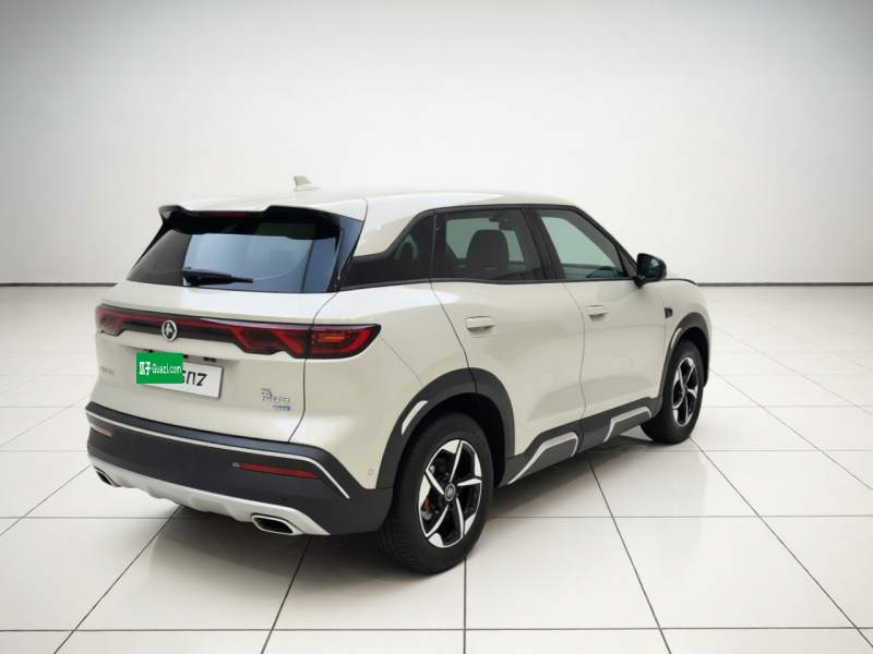 Used BYD Yuan UP 2025 Intelligent Driving Version 401 km Leading Edition — 6
