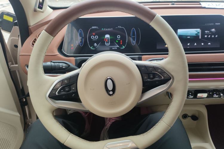 Used ORA Good Cat 2022 Morandi Edition 400km Standard Range Two-Week Young Enjoyment Version Lithium Iron Phosphate
