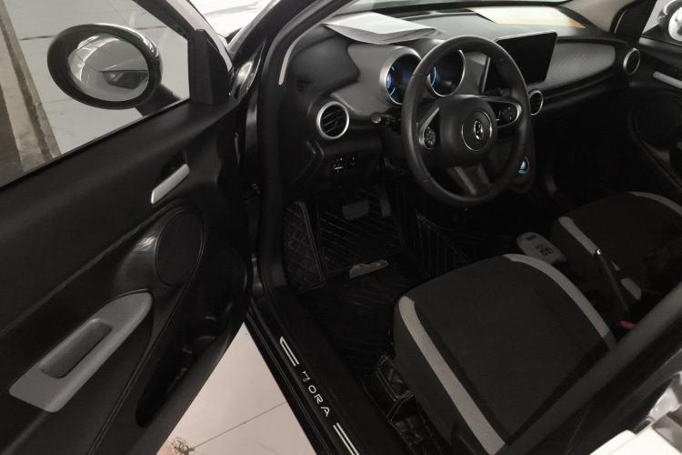 Used ORA Black Cat 2021 301 km Basic Version