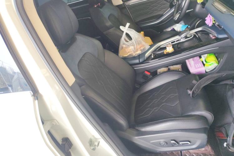 Used VOYAH FREE 2021 Four-Wheel Drive Standard Range-Extended Exclusive Luxury Package Right Front Seat