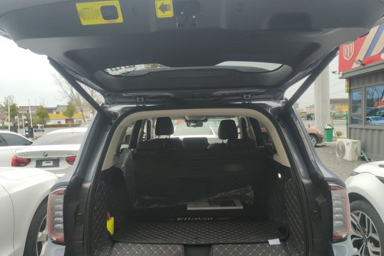 Used Haval DARGO 2024 2.0T DCT Chinese Rural Dog Edition Trunk