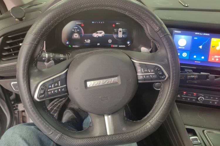 Used Haval F7 2020 2.0T Two-Wheel Drive i-Van
