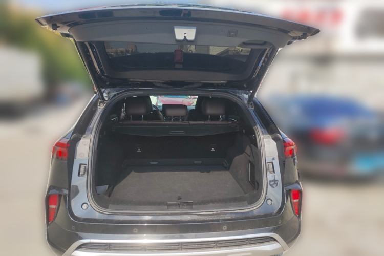 Used Wey Mocha 2021 2.0T Four-Wheel Drive Premium Edition
