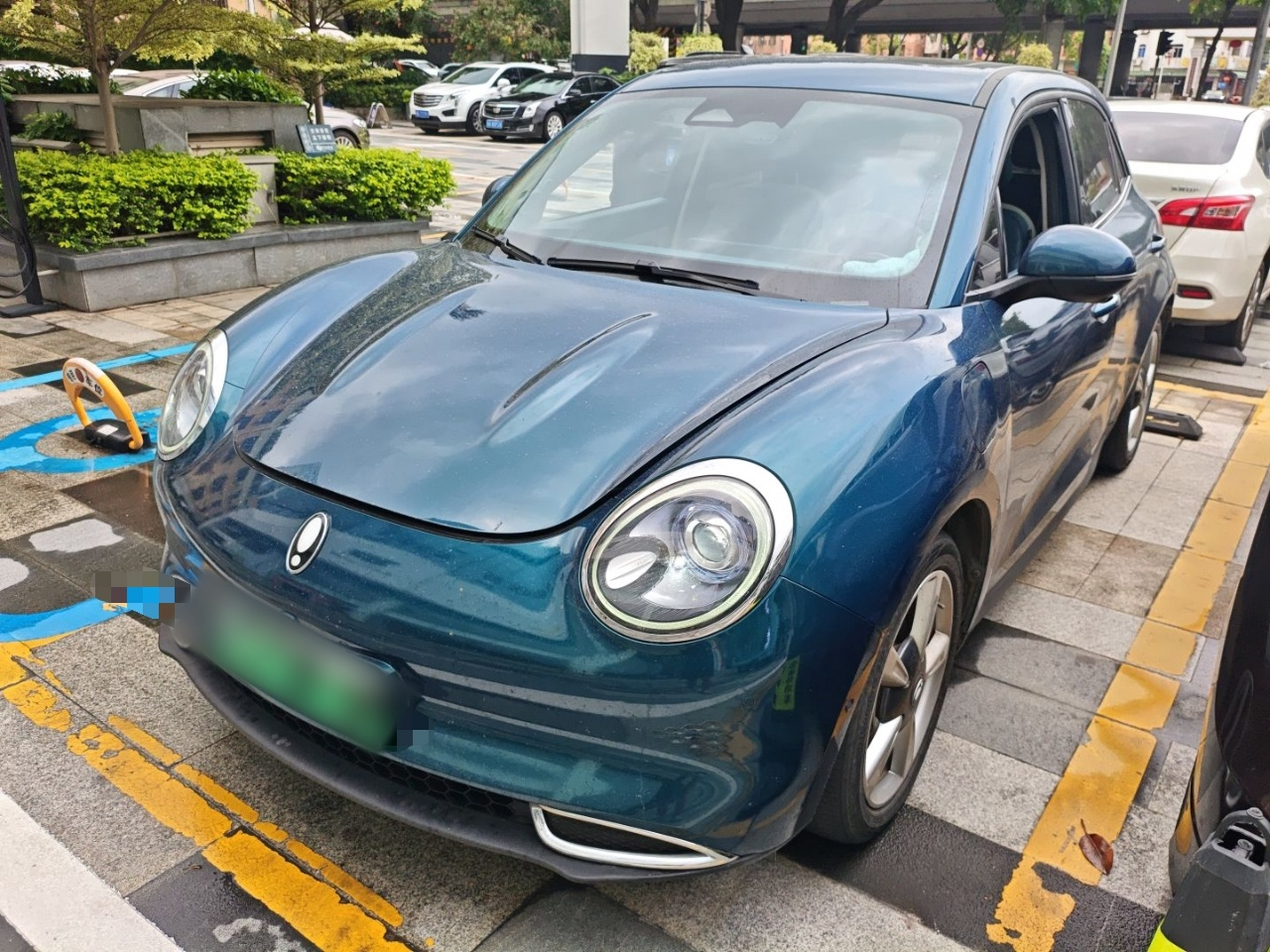 تحت مقدمة السيارة