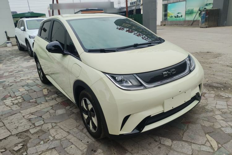 Used BYD Dolphin 2025 420km Free Edition
