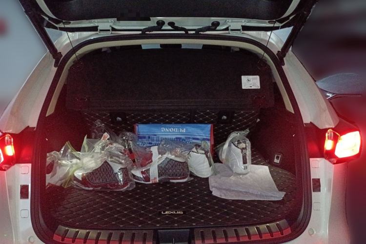 Used Lexus NX 2020 200 All-Wheel Drive Fēngshàng Version China VI Standard