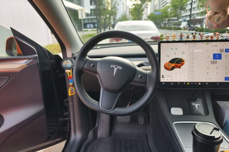 Used Tesla Model Y 2021 Standard Range Rear-Wheel Drive Version
