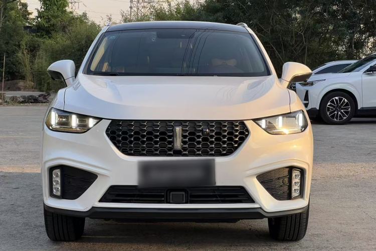 Used Wey VV5 2020 1.5T Two-Wheel Drive Smart Pioneer