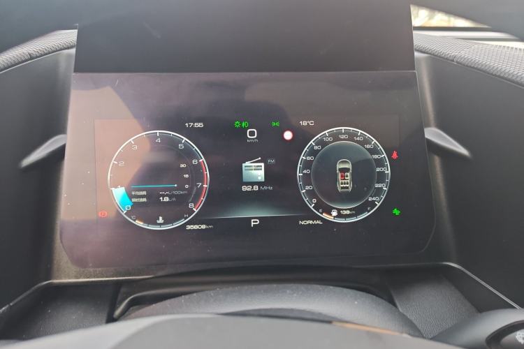 Used Haval DARGO 2024 2.0T DCT Chinese Rural Dog Edition
