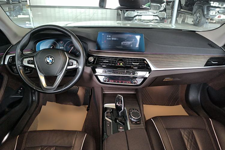 Used BMW 5 Series New Energy 2019 530Le Luxury Package