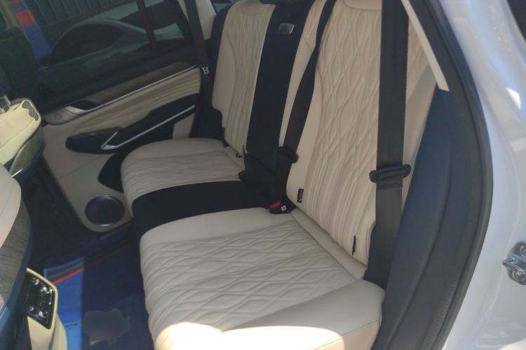 Used Tank 500 New Energy 2024 Hi4-T Left Rear Seat