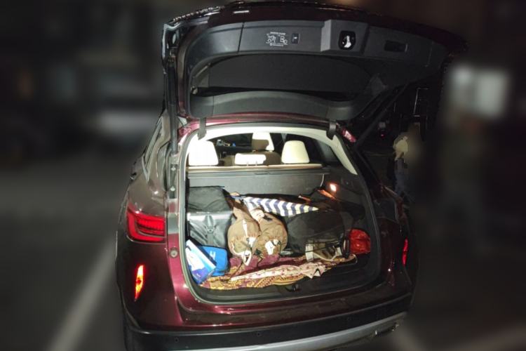 Used Infiniti QX50 2018 2.0T Two-Wheel Drive Fashion Edition Trunk