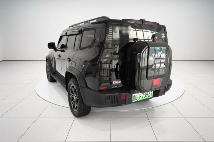 Used JETOUR Shanhai Traveler C-DM 2024 C-DM 129KM Linye Edition Exterior 2