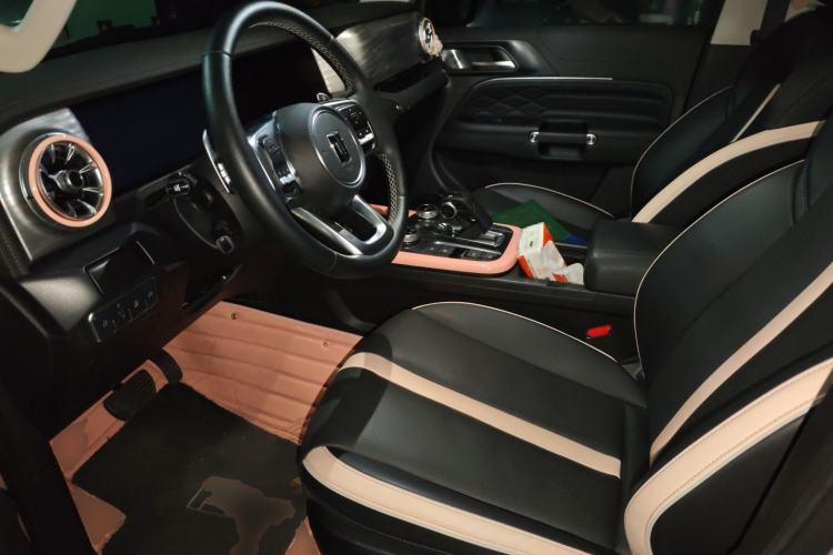 Used Tank 300 2021 City Edition 2.0T—Truly Stylish