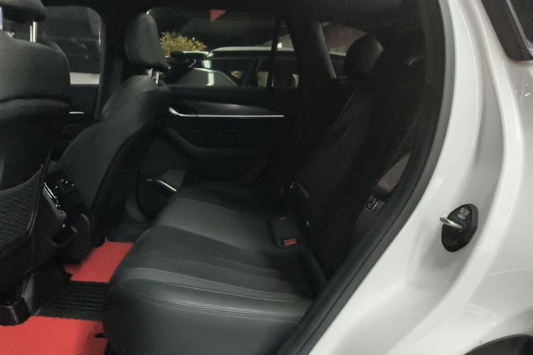 Used Geely Auto Monjaro L 2024 2.0TD High-Power Automatic Two-Wheel Drive Skyline Edition
