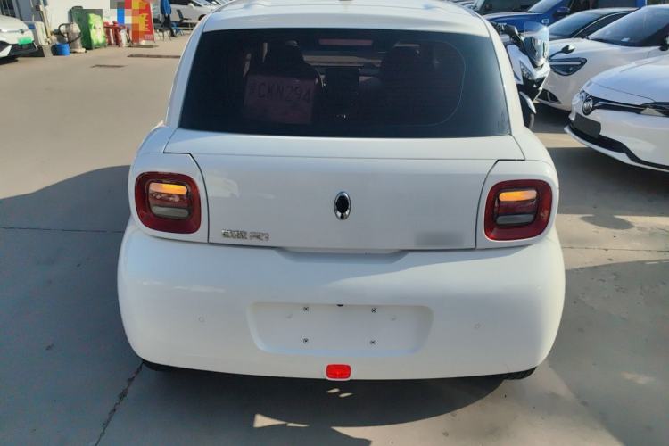 Used ORA Black Cat 2019 351 km Fun Edition Rear