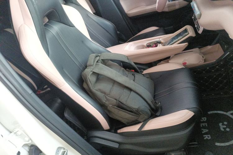 Used BYD Seagull 2024 Honor Edition 305km Freedom Version Right Front Seat