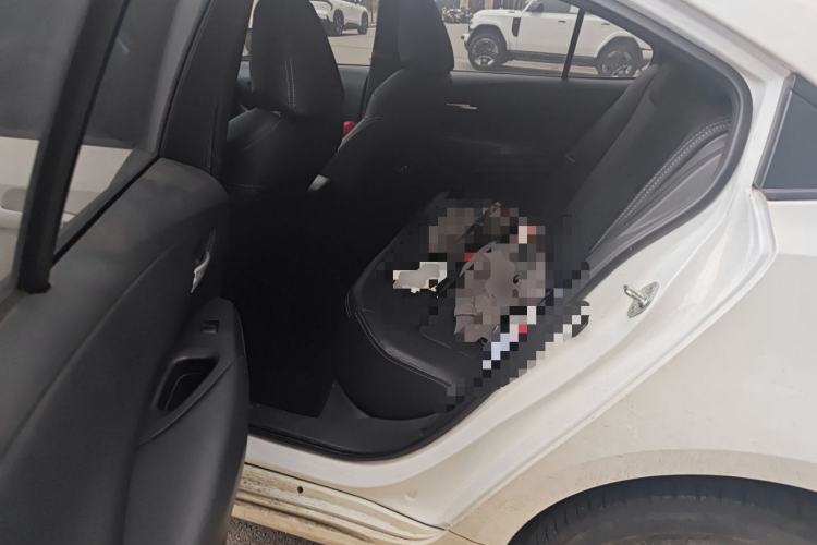 Used Toyota Corolla 2021 1.2T S-CVT Elite PLUS Edition