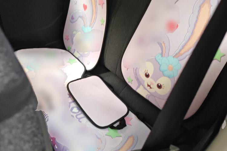 Used Chery QQ Ice Cream 2022 120km Conical Shape Lithium Iron Phosphate Left Rear Seat