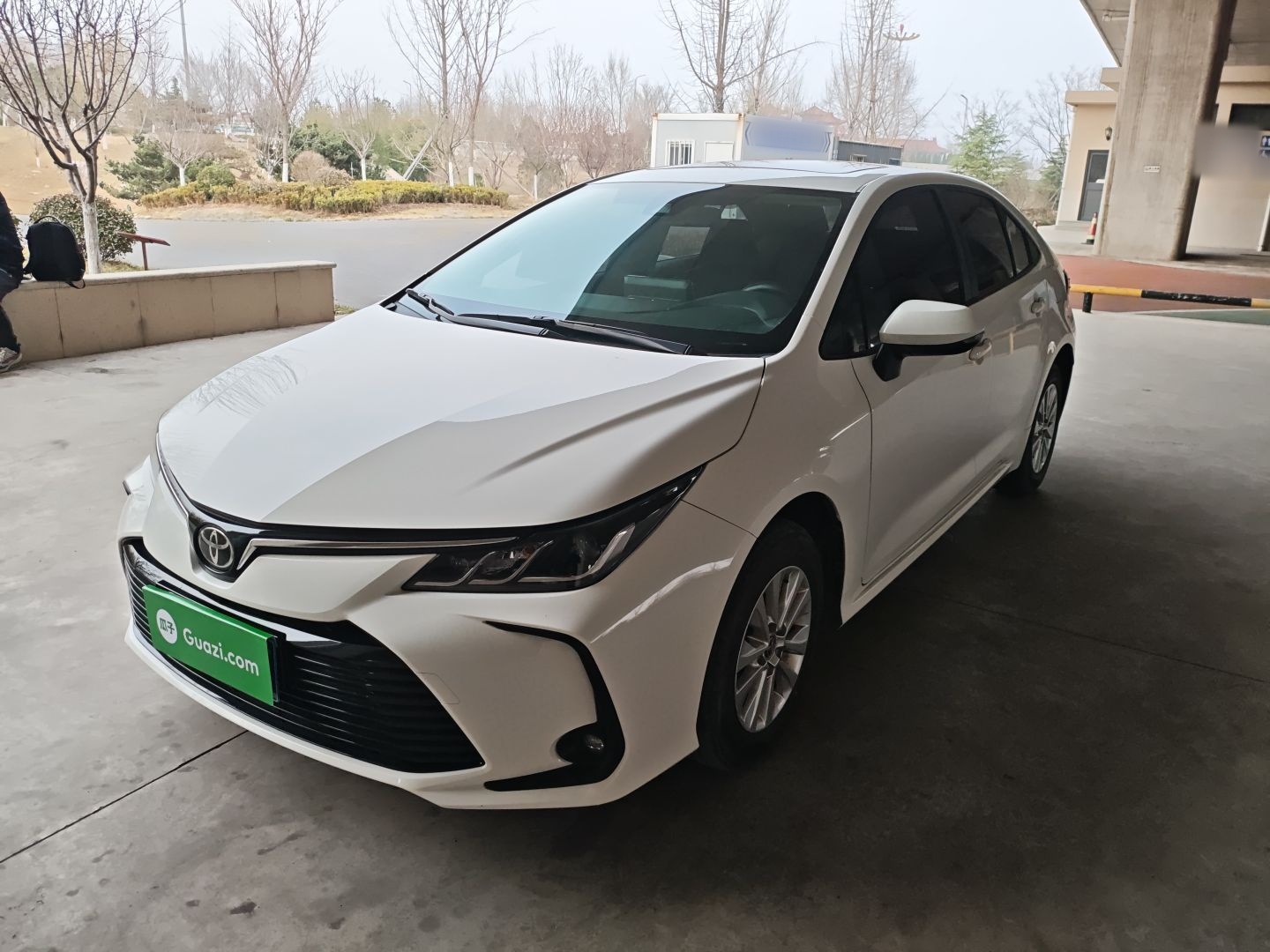 Parte inferior delantera