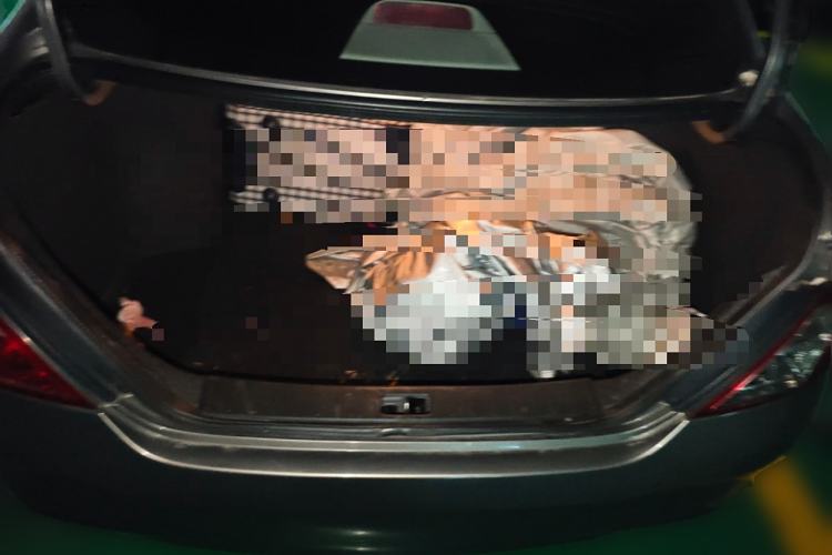 Used Nissan Sunny 2011 1.5XL CVT Luxury Edition Trunk