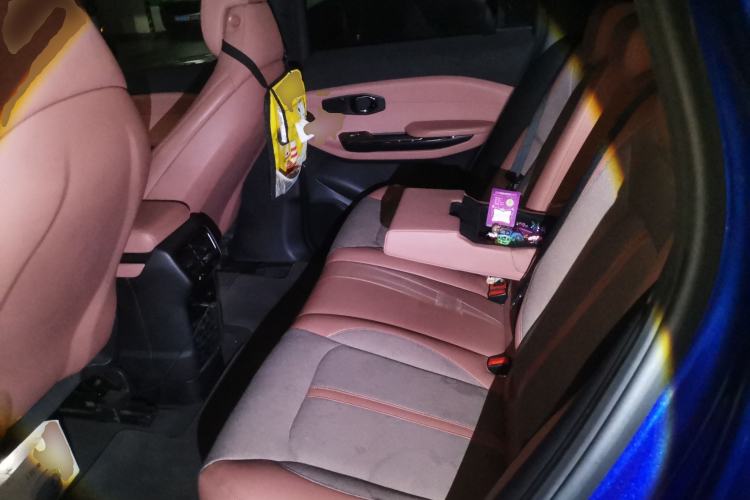 Used Nio EC6 2020 475 km Performance Version Left Rear Seat