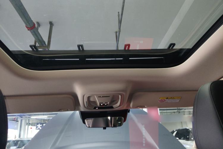 Used Haval Raptor 2025 2.0T 4WD Pro Headliner