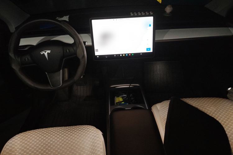 Used Tesla Model Y 2021 Standard Range Rear-Wheel Drive Version