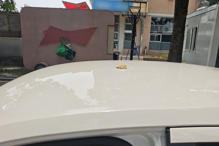 Used Volkswagen Lavida 2015 1.6L Automatic Fashion Edition