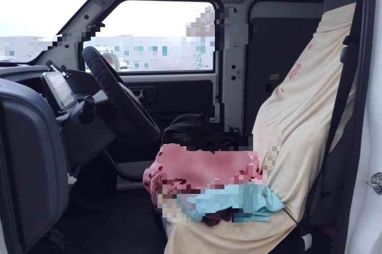 Used Chengshi 01 2021 Chuanfu Edition + 3.3KW Single-Row Closed Cargo Van Single Seat Single Battery
