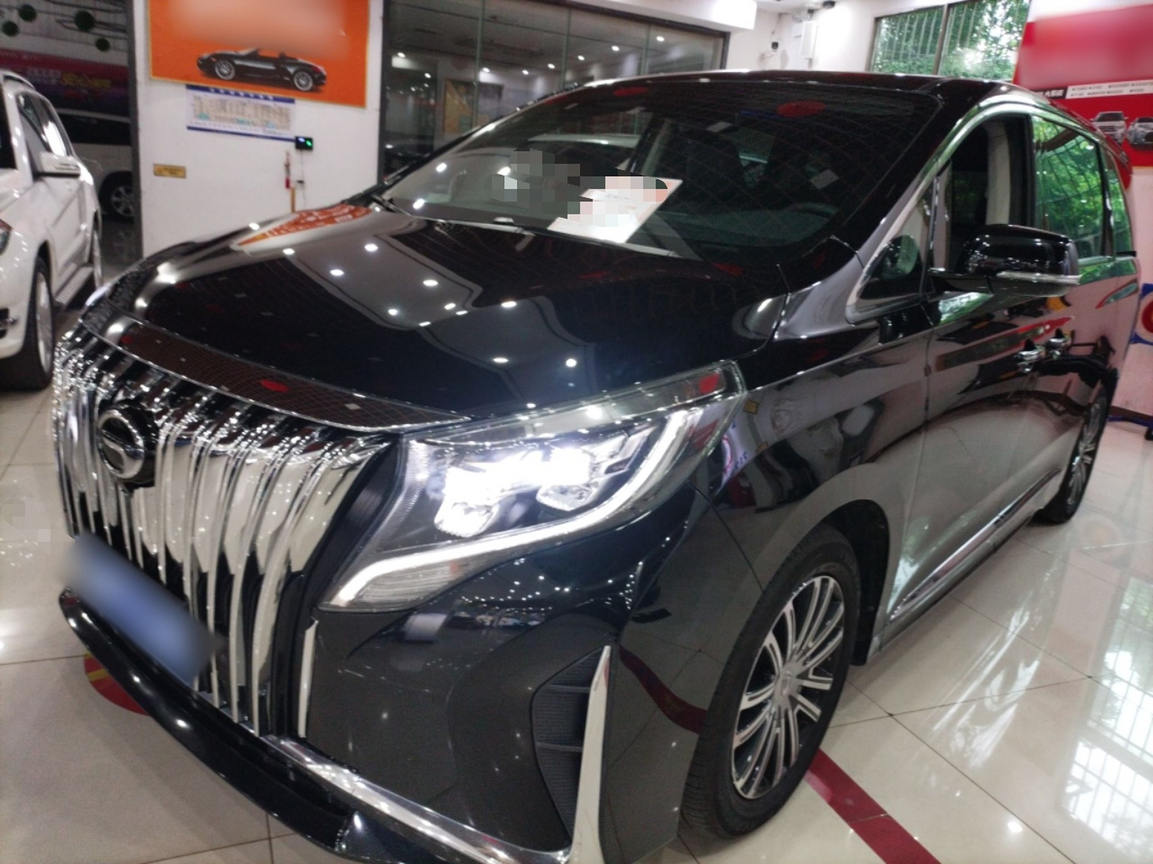 Parte inferior delantera