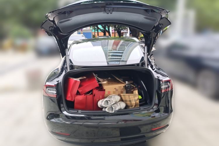 Used Tesla Model 3 2020 Standard Range Rear-Wheel Drive Upgraded Version