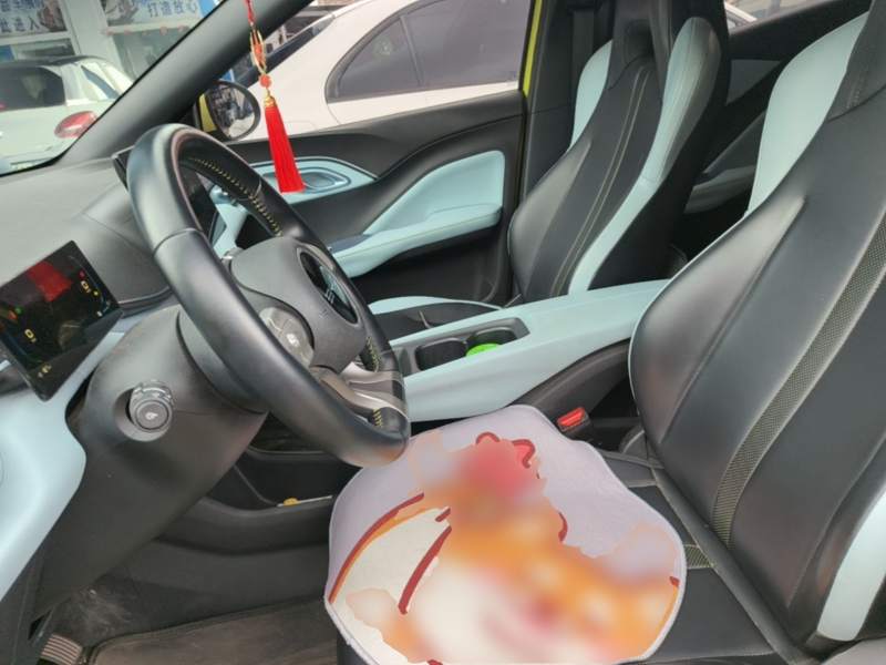 Used BYD Seagull 2023 Free Edition — 14