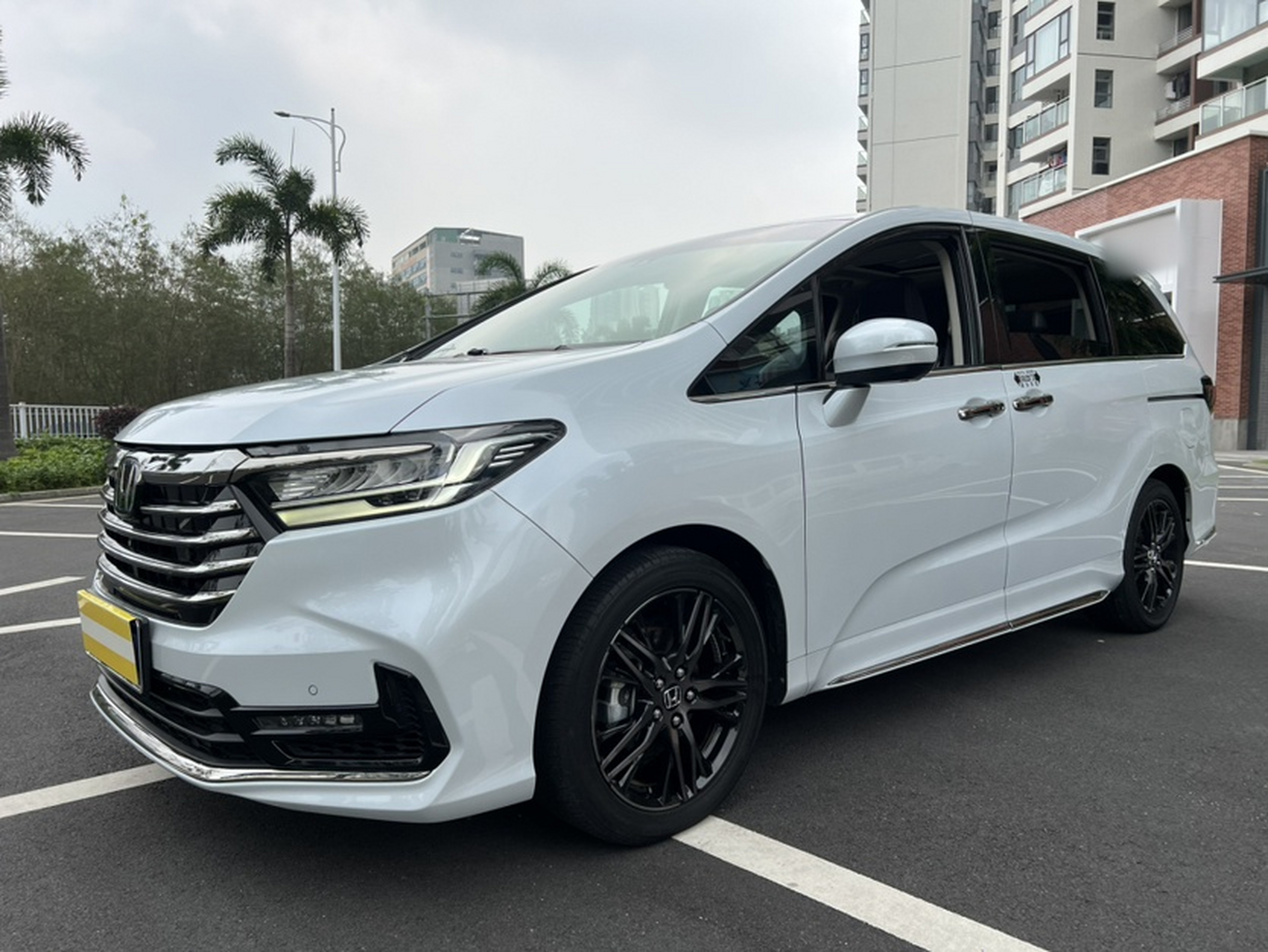 Parte inferior delantera