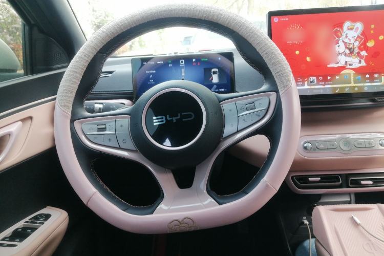 Used BYD Seagull 2025 Smart Drive Version 305 km Freedom Edition