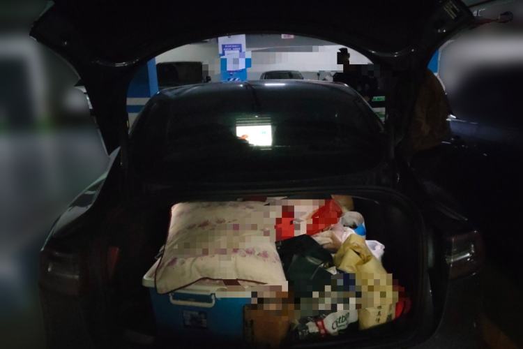 Used Tesla Model 3 2020 Revised Version Standard Range Rear-Wheel Drive – Upgraded Edition Trunk