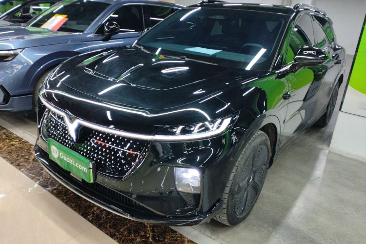 Used VOYAH COURAGE 2024 Four-Wheel Drive Global Edition